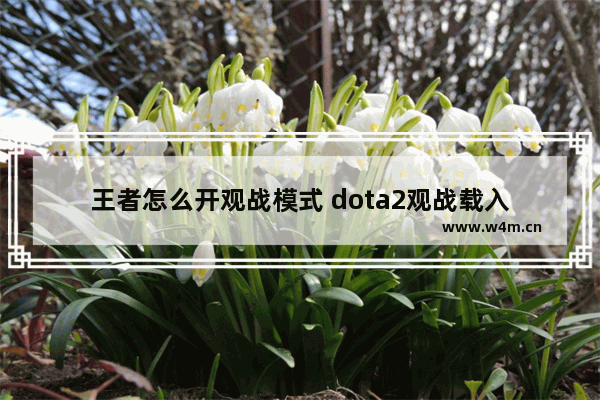 王者怎么开观战模式 dota2观战载入