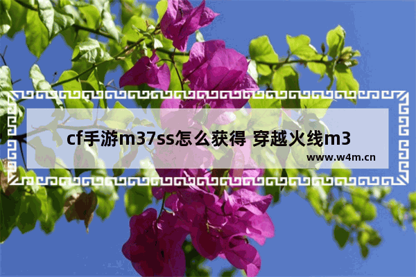 cf手游m37ss怎么获得 穿越火线m37ss