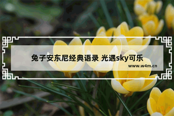 兔子安东尼经典语录 光遇sky可乐