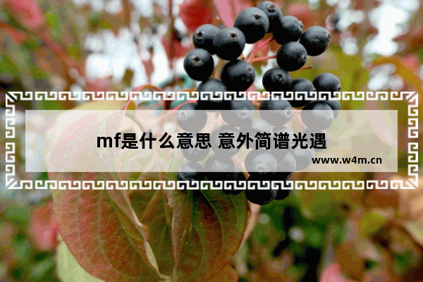 mf是什么意思 意外简谱光遇