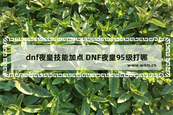 dnf夜皇技能加点 DNF夜皇95级打哪里