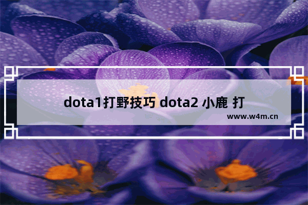 dota1打野技巧 dota2 小鹿 打野