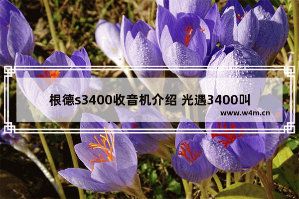 根德s3400收音机介绍 光遇3400叫声