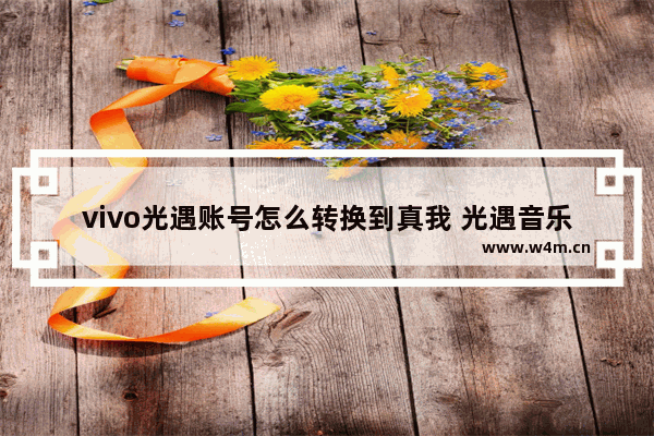 vivo光遇账号怎么转换到真我 光遇音乐转换