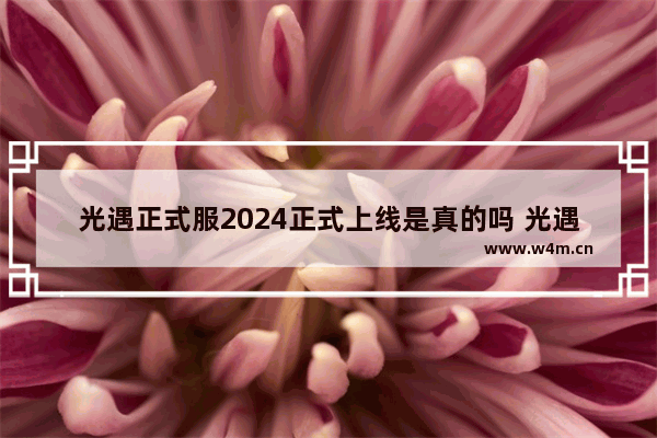 光遇正式服2024正式上线是真的吗 光遇预测12