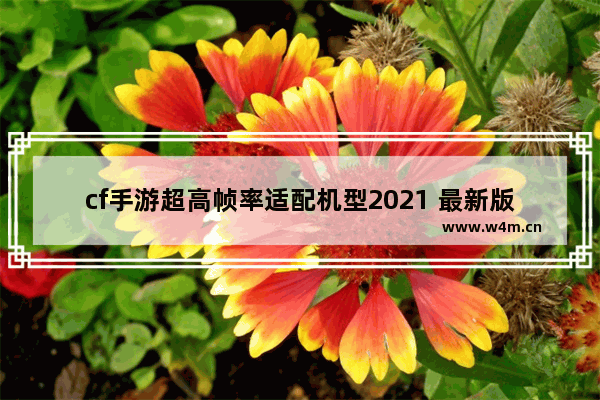 cf手游超高帧率适配机型2021 最新版穿越火线手游