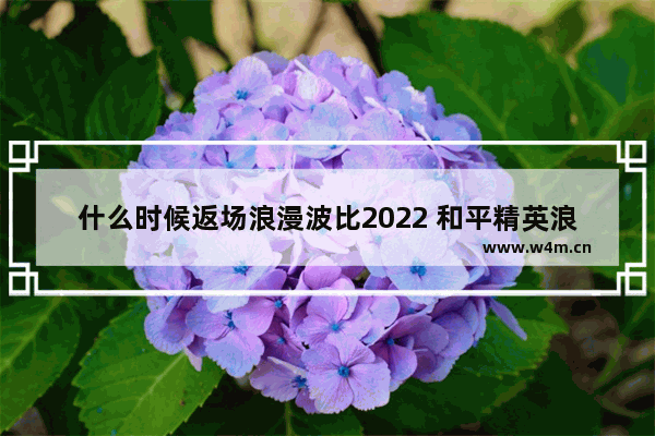 什么时候返场浪漫波比2022 和平精英浪漫波比返场链接