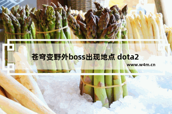 苍穹变野外boss出现地点 dota2 幽暗丛林