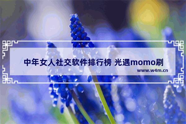 中年女人社交软件排行榜 光遇momo刷