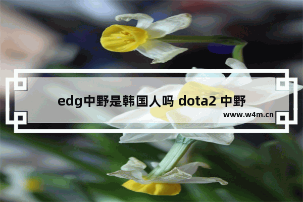 edg中野是韩国人吗 dota2 中野