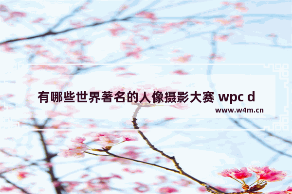 有哪些世界著名的人像摄影大赛 wpc dota2 决赛