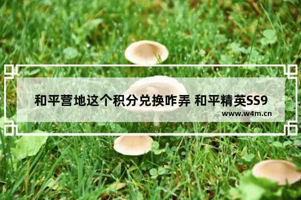 和平营地这个积分兑换咋弄 和平精英SS9新赛季中600个点券可以买什么衣服