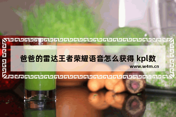 爸爸的雷达王者荣耀语音怎么获得 kpl数据雷达图怎么看