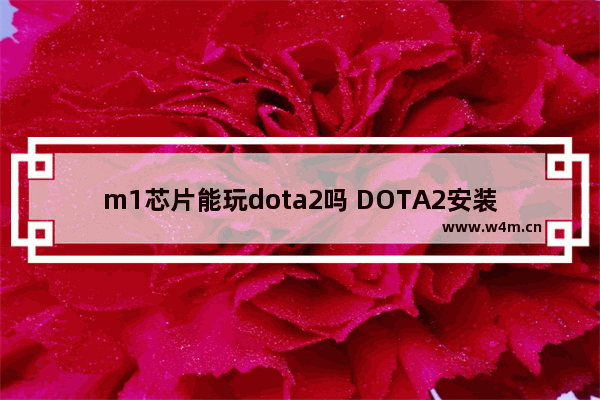 m1芯片能玩dota2吗 DOTA2安装空调