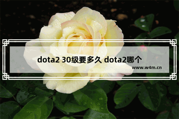 dota2 30级要多久 dota2哪个英雄攻击力最强