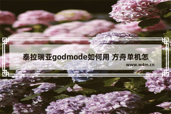 泰拉瑞亚godmode如何用 方舟单机怎么开上帝模式