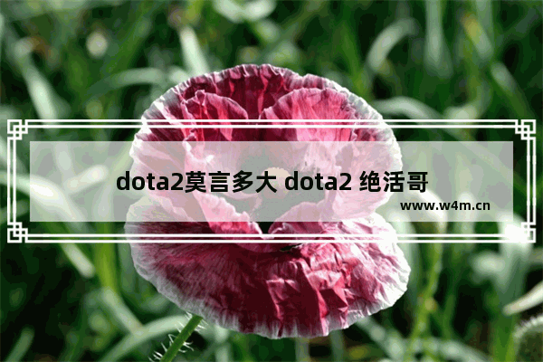 dota2莫言多大 dota2 绝活哥