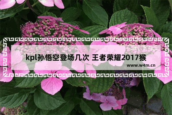 kpl孙悟空登场几次 王者荣耀2017猴子