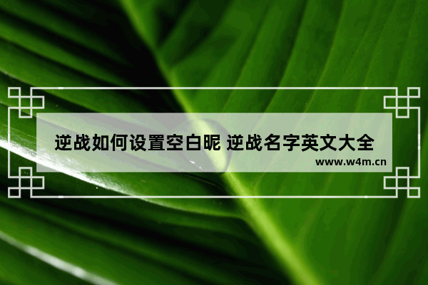 逆战如何设置空白昵 逆战名字英文大全