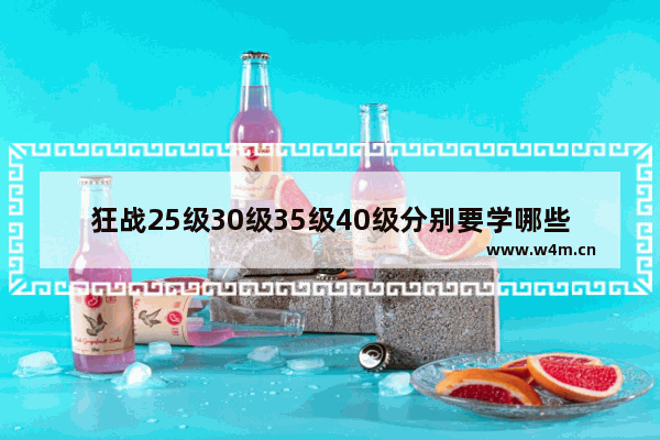 狂战25级30级35级40级分别要学哪些技能 （DNF） 地下城与勇士狂战全技能