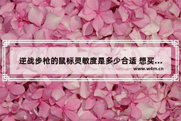 逆战步枪的鼠标灵敏度是多少合适 想买个游戏鼠标 主玩逆战 大家推荐下啊