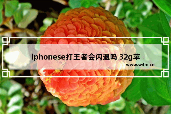 iphonese打王者会闪退吗 32g苹果5 se还可以玩王者吗