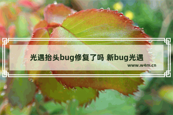 光遇抬头bug修复了吗 新bug光遇