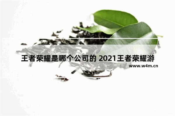 王者荣耀是哪个公司的 2021王者荣耀游戏时间安排