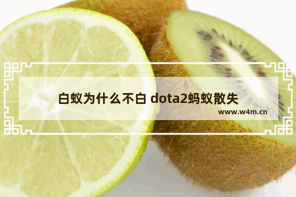 白蚁为什么不白 dota2蚂蚁散失