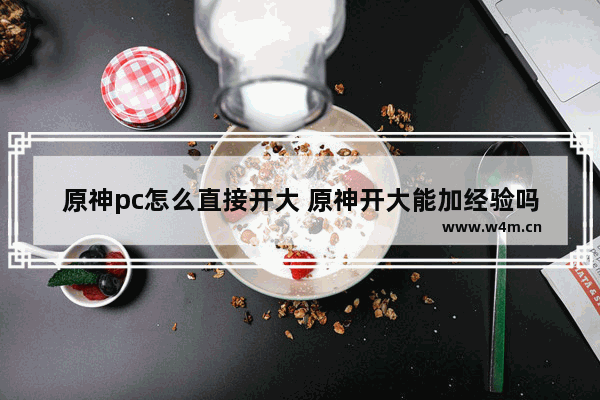 原神pc怎么直接开大 原神开大能加经验吗