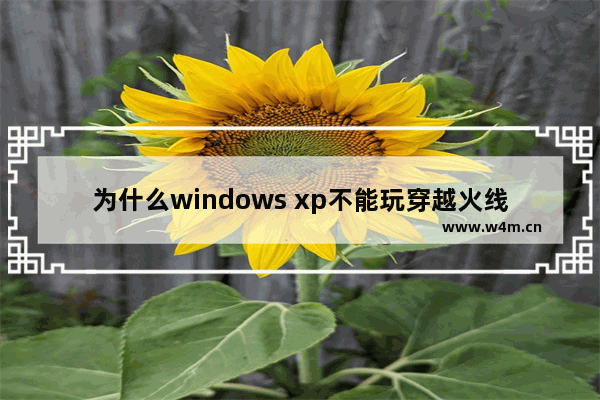 为什么windows xp不能玩穿越火线 xp兼容穿越火线