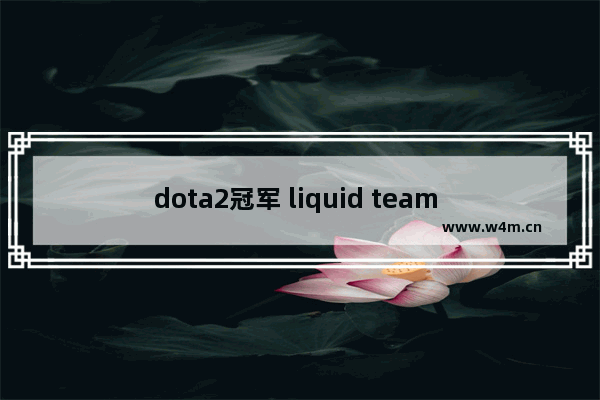 dota2冠军 liquid team dota2