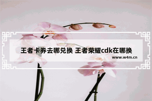 王者卡券去哪兑换 王者荣耀cdk在哪换