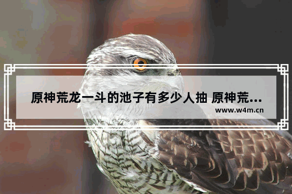 原神荒龙一斗的池子有多少人抽 原神荒龙攻略