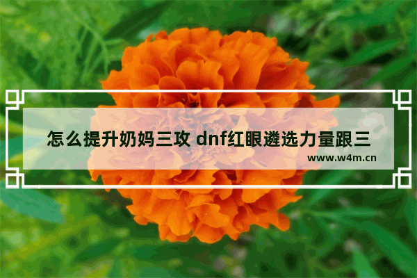 怎么提升奶妈三攻 dnf红眼遴选力量跟三攻有用不