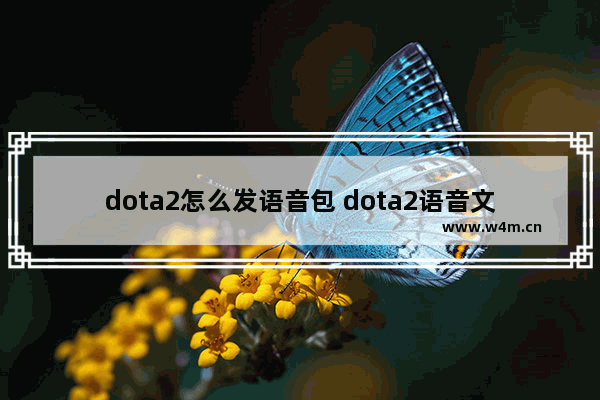 dota2怎么发语音包 dota2语音文件