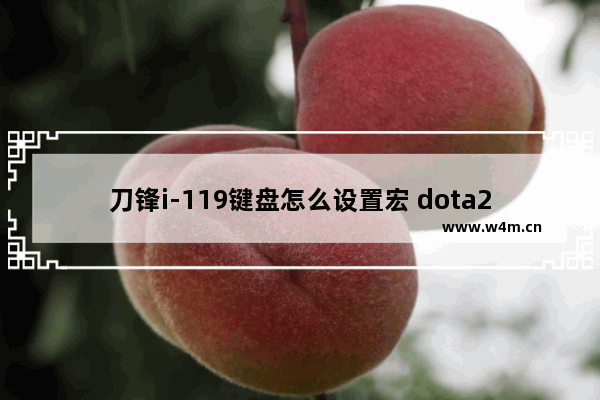 刀锋i-119键盘怎么设置宏 dota2宏键盘