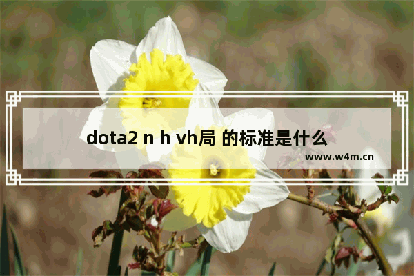 dota2 n h vh局 的标准是什么 dota2的n h vh局具体是怎么评定的