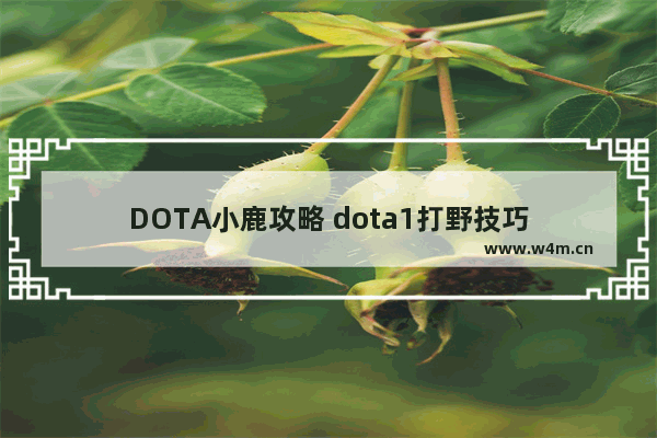 DOTA小鹿攻略 dota1打野技巧