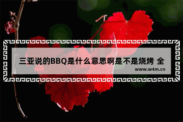 三亚说的BBQ是什么意思啊是不是烧烤 全世界开发游戏最多的几个国家