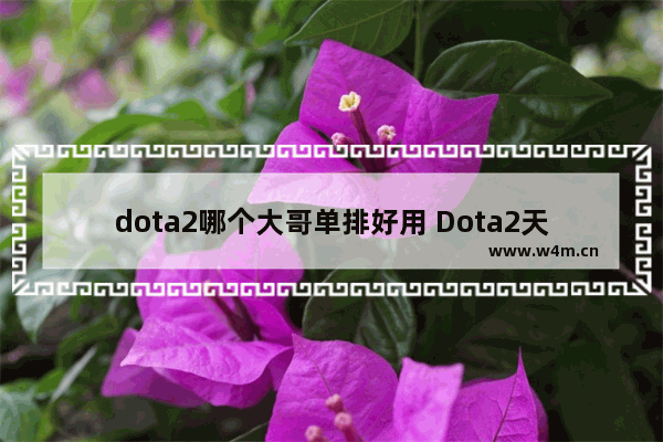 dota2哪个大哥单排好用 Dota2天梯单排和组队什么区别