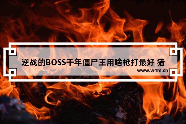 逆战的BOSS千年僵尸王用啥枪打最好 猎魔挑战 巫师3攻略家家有本难念的经怎么做 就是调查威伦剩下的线索