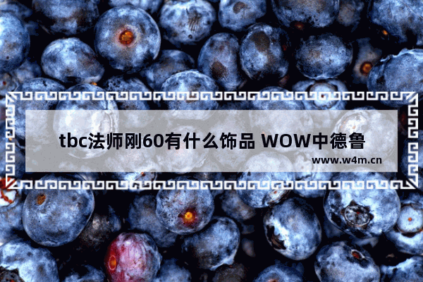 tbc法师刚60有什么饰品 WOW中德鲁伊带什么饰品最好