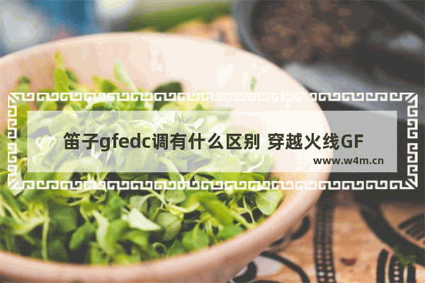 笛子gfedc调有什么区别 穿越火线GF武器