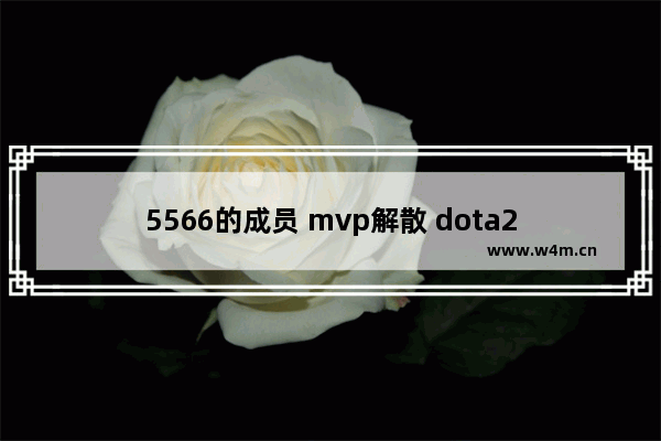 5566的成员 mvp解散 dota2