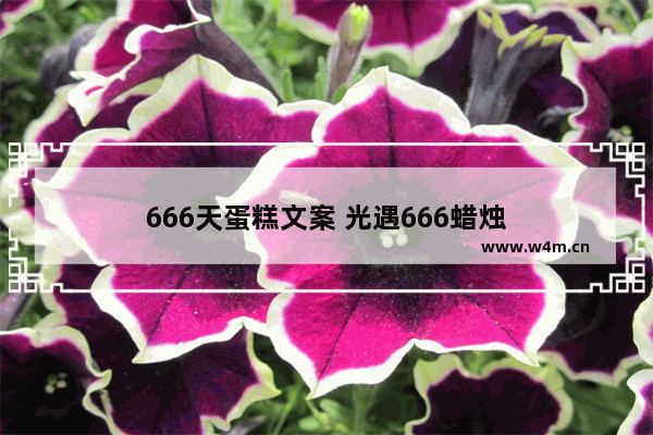 666天蛋糕文案 光遇666蜡烛