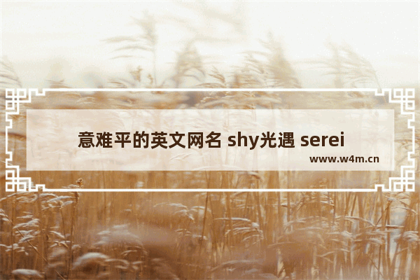 意难平的英文网名 shy光遇 serein