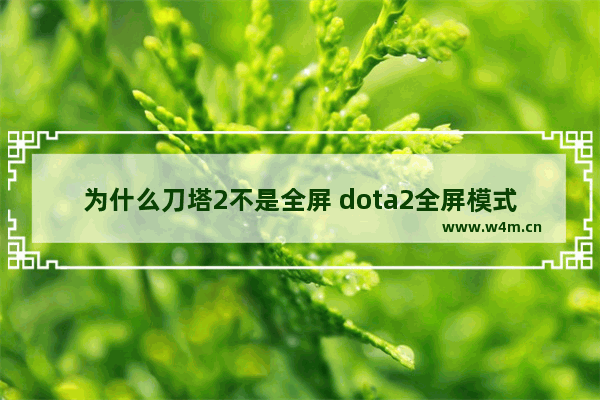 为什么刀塔2不是全屏 dota2全屏模式