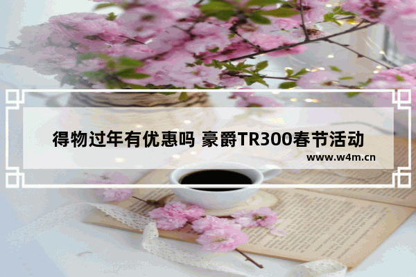 得物过年有优惠吗 豪爵TR300春节活动内容