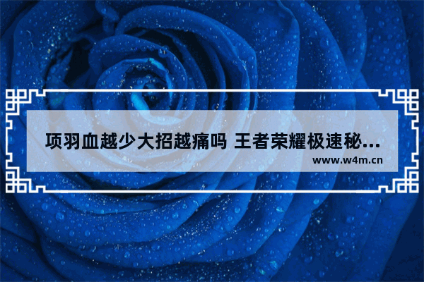 项羽血越少大招越痛吗 王者荣耀极速秘法是几区